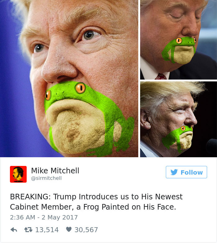 frog trump