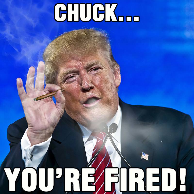 trump youre fired