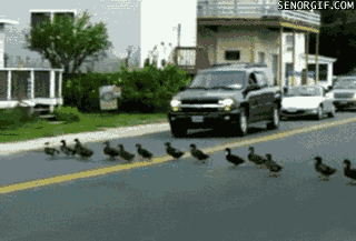 15-Struggles-Of-Living-In-London-12.gif