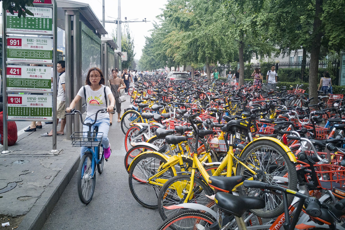 abandon bicyles in china 22